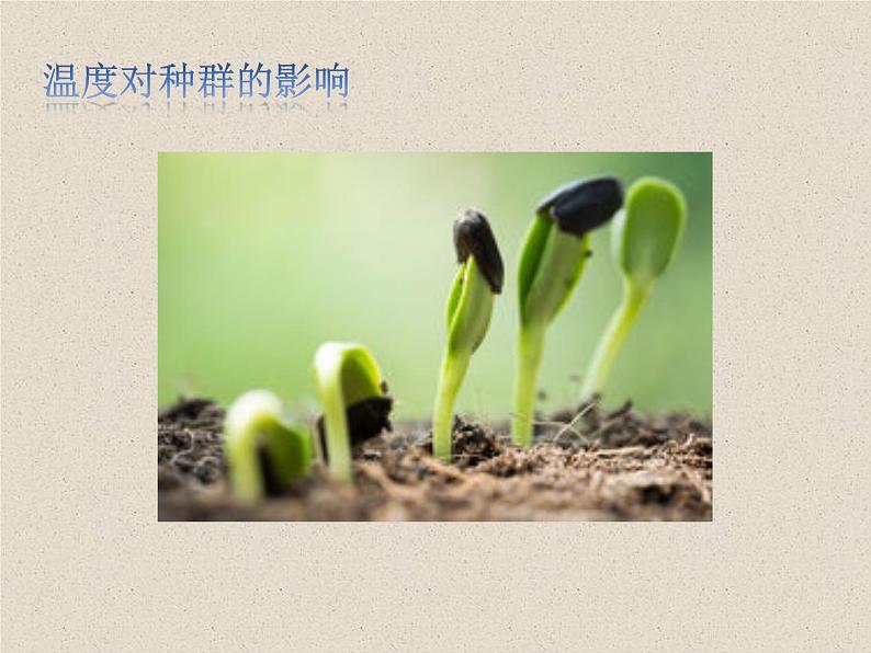 1.3影响种群数量变化的因素 课件第8页