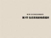 3.3生态系统的物质循环  课件