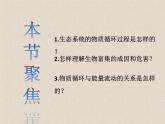 3.3生态系统的物质循环  课件