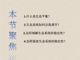 3.5生态系统的稳定性 课件