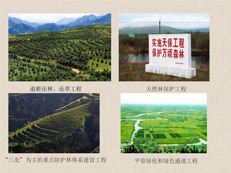 4.3.2+生态工程的实例和发展前景 课件第2页