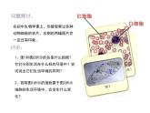 1.1细胞生活的环境 课件