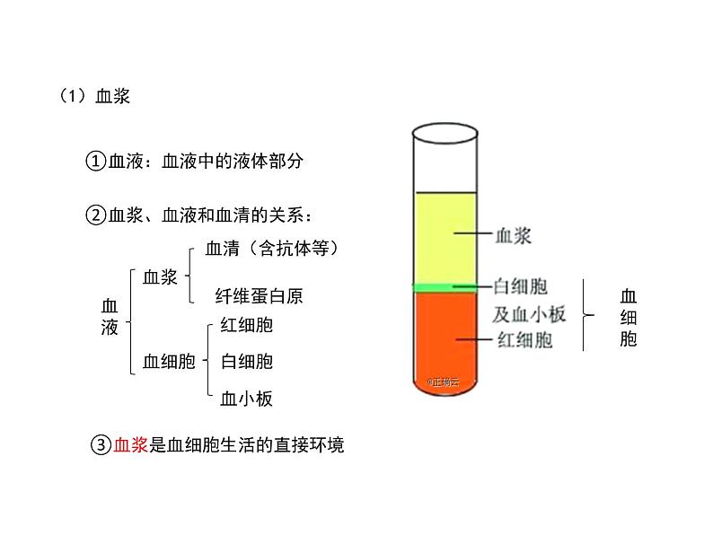 1.1细胞生活的环境 课件05