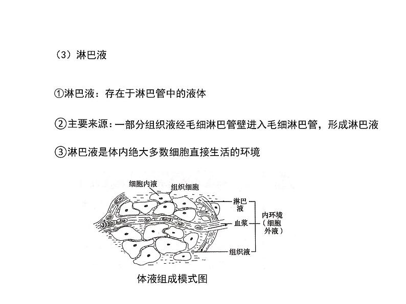 1.1细胞生活的环境 课件07