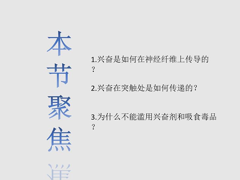 2.3神经冲动的产生和传导 课件02