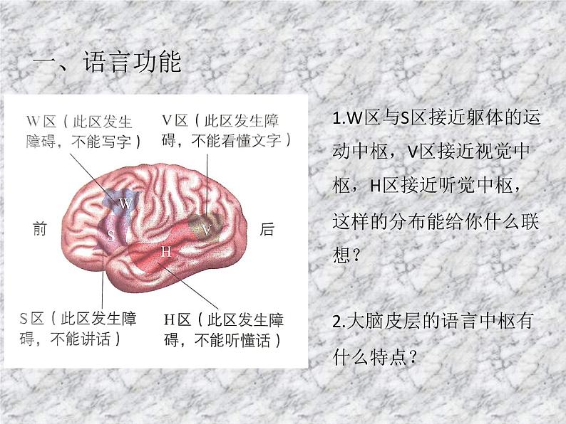 2.5人脑的高级功能 课件05