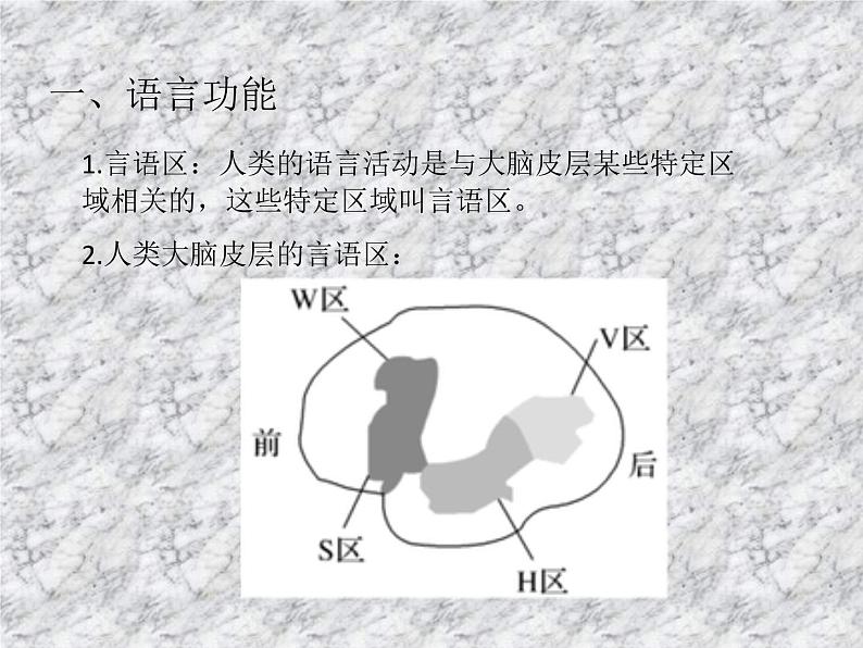 2.5人脑的高级功能 课件06