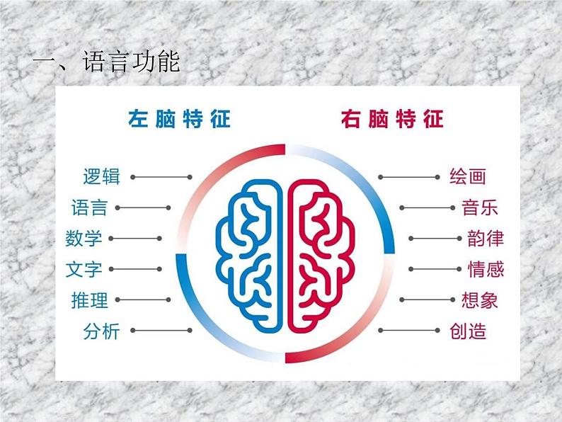 2.5人脑的高级功能 课件08