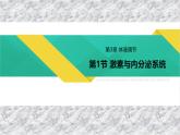 3.1激素与内分泌系统 课件
