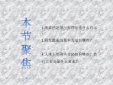 3.1激素与内分泌系统 课件