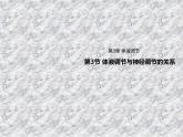 3.3体液调节与神经调节的关系 课件