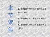 3.3体液调节与神经调节的关系 课件