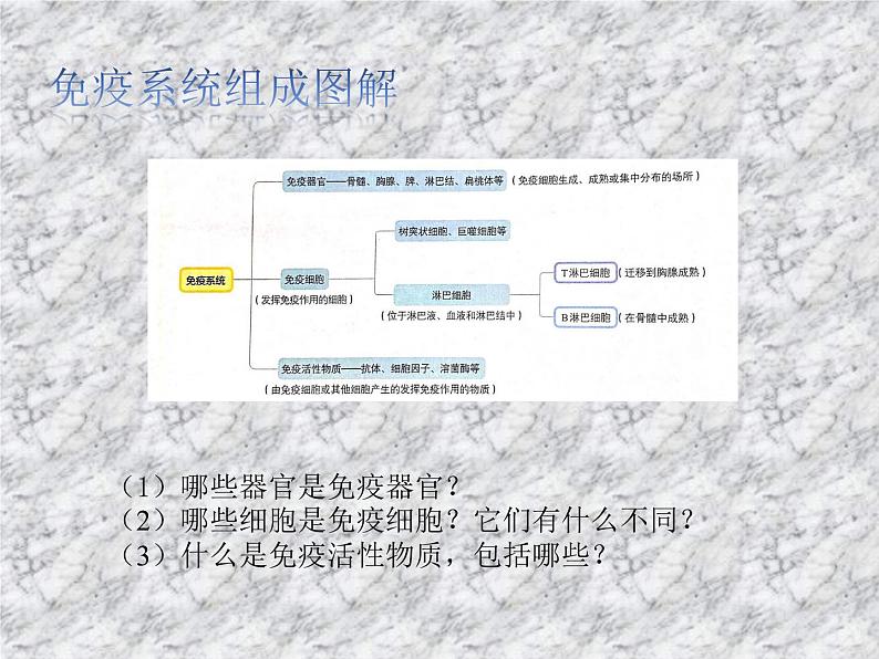 4.1免疫系统的结构和功能 课件第5页