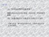 4.3免疫失调 课件