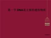 高中生物 第三章 第1节 DNA是主要的遗传物质课件 新人教版必修2