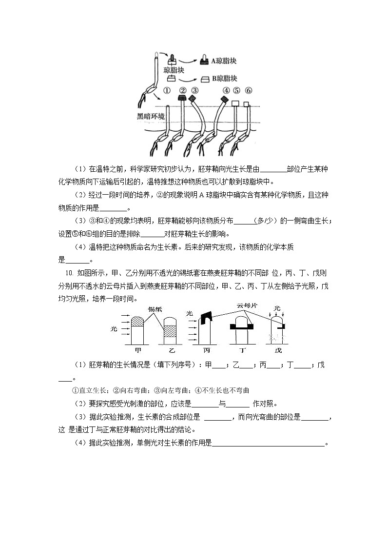 选择性必修1 第5章 植物生命活动的调节 第一节同步练习03