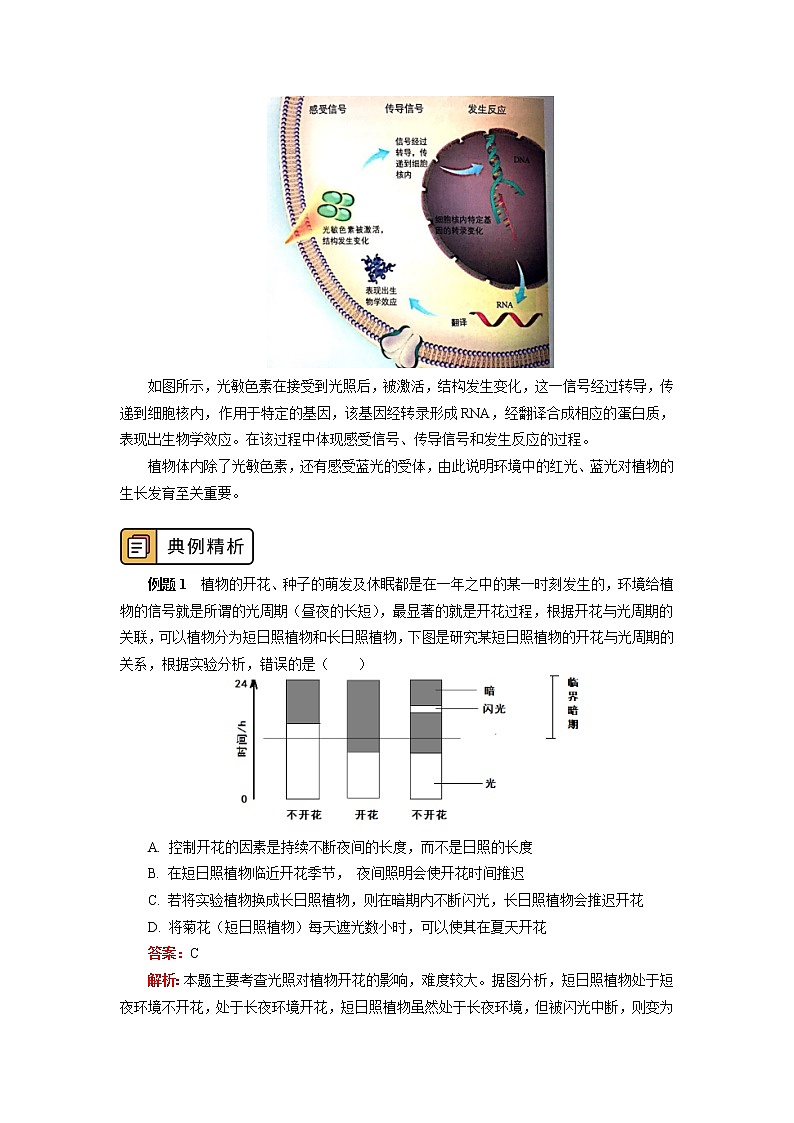 选择性必修1 第5章 植物生命活动的调节 第四节 学案03