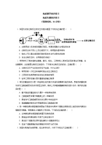 高中生物人教版 (2019)选择性必修1第3节 神经冲动的产生和传导精品学案