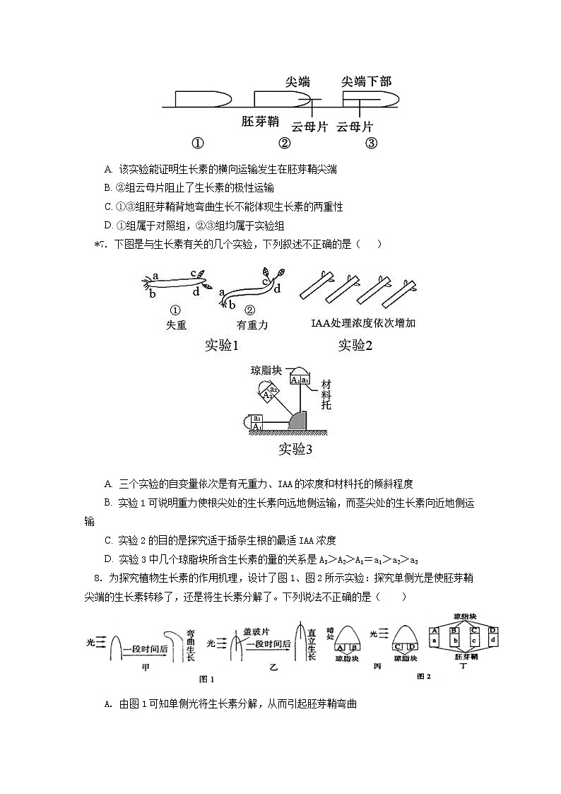 选择性必修1 第5章 植物生命活动的调节 第二节同步练习03
