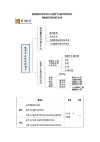 高中第3节 神经冲动的产生和传导精品学案设计