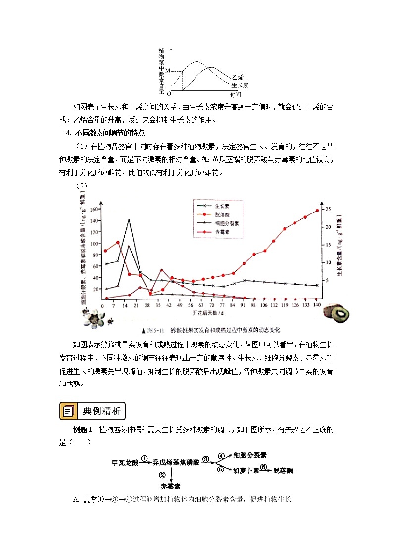 选择性必修1 第5章 植物生命活动的调节 第二、三节 学案03
