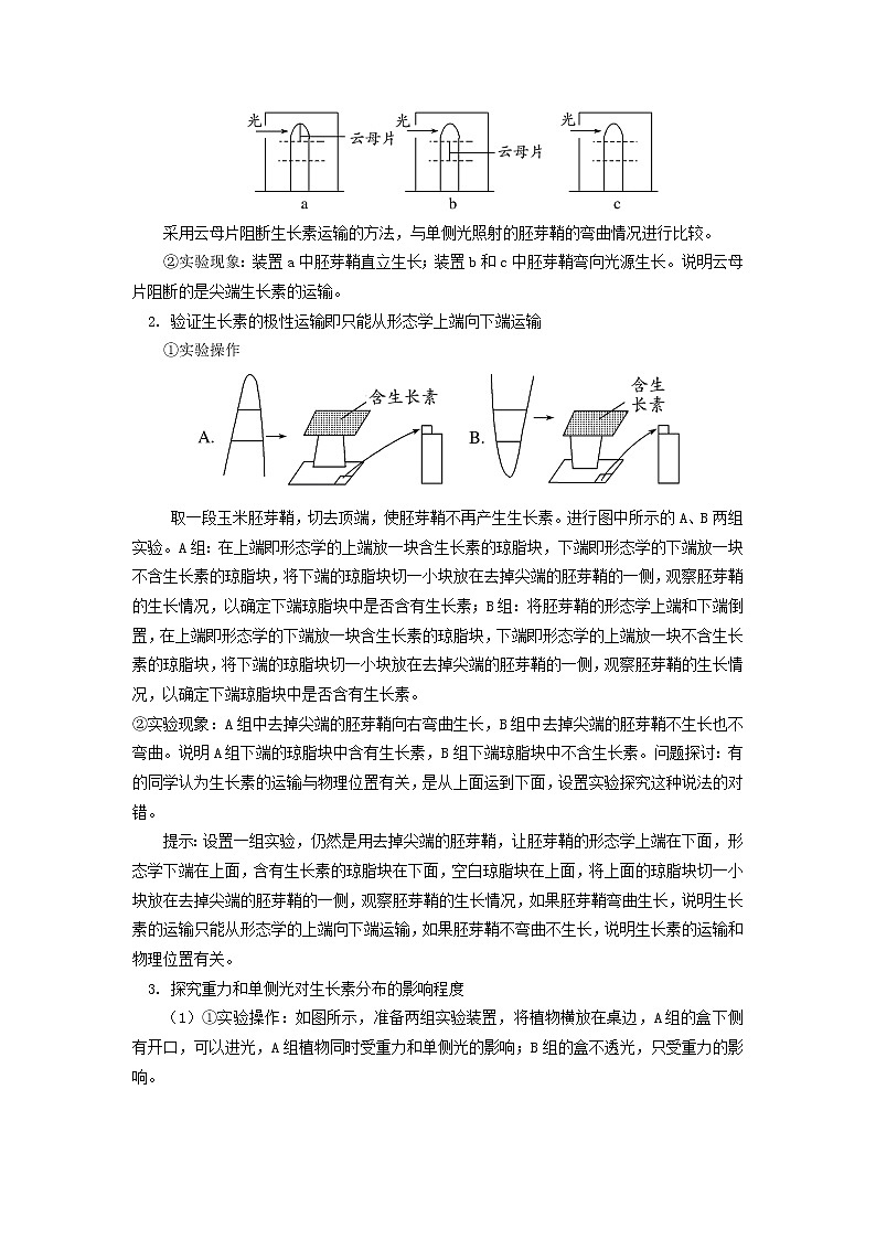 选择性必修1 第5章 植物生命活动的调节 第二节 学案02
