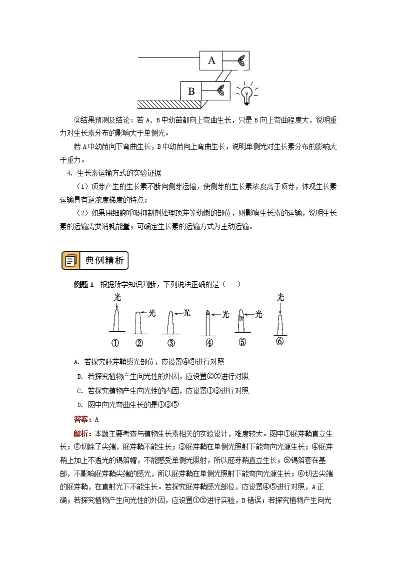 选择性必修1 第5章 植物生命活动的调节 第二节 学案03