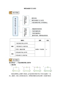 高中生物人教版 (2019)选择性必修1第3节 体液调节与神经调节的关系精品导学案