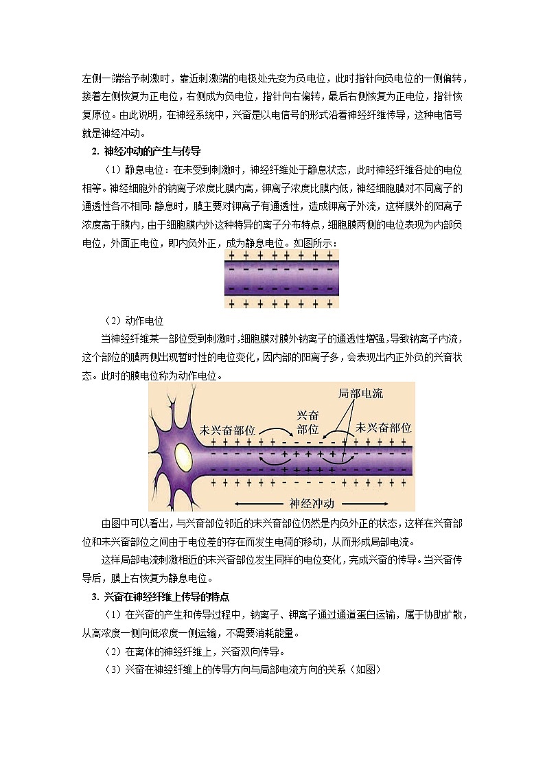 选择性必修1 第2章 神经调节 第三节 学案02