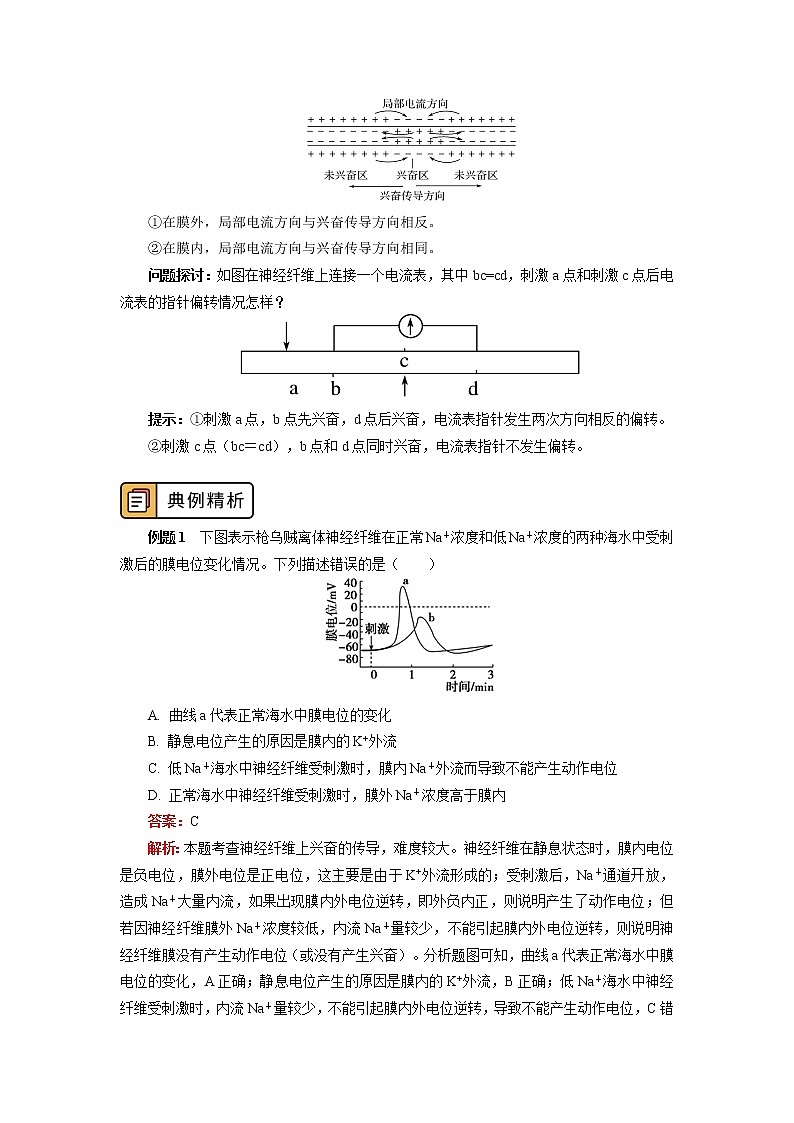 选择性必修1 第2章 神经调节 第三节 学案03
