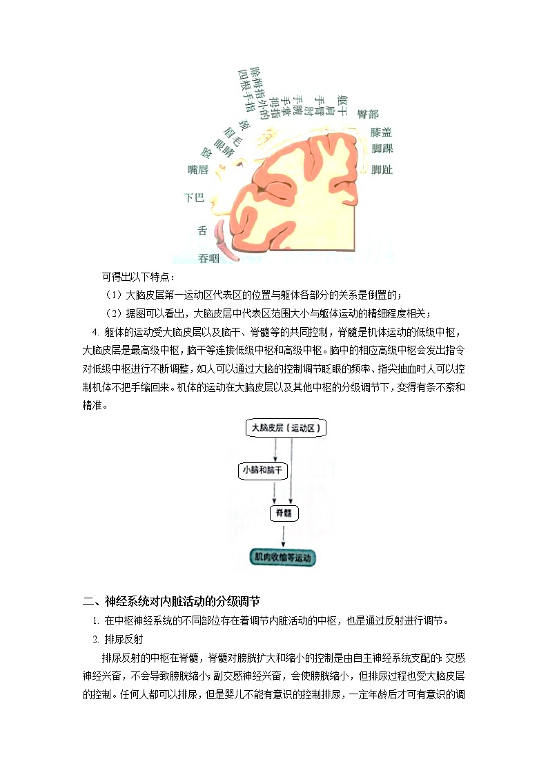 选择性必修1 第2章 神经调节 第四、五节 学案02
