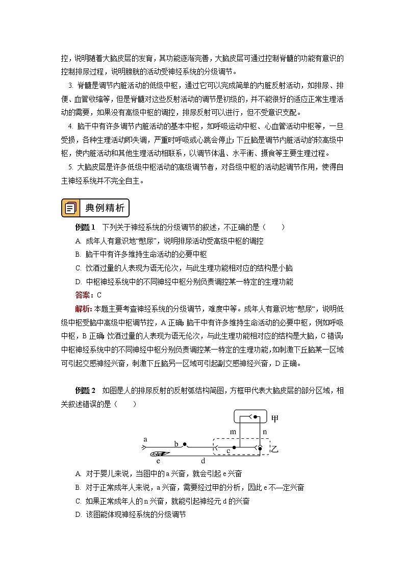 选择性必修1 第2章 神经调节 第四、五节 学案03