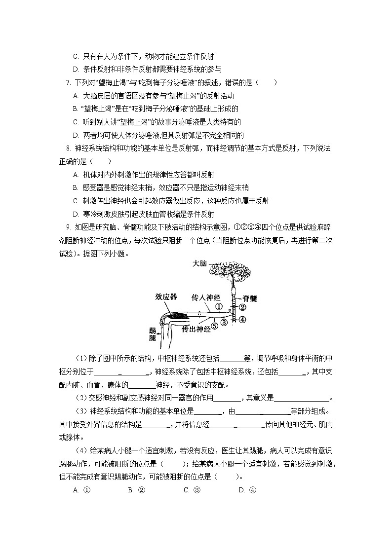 选择性必修1 第2章 神经调节 第一、二节同步练习02
