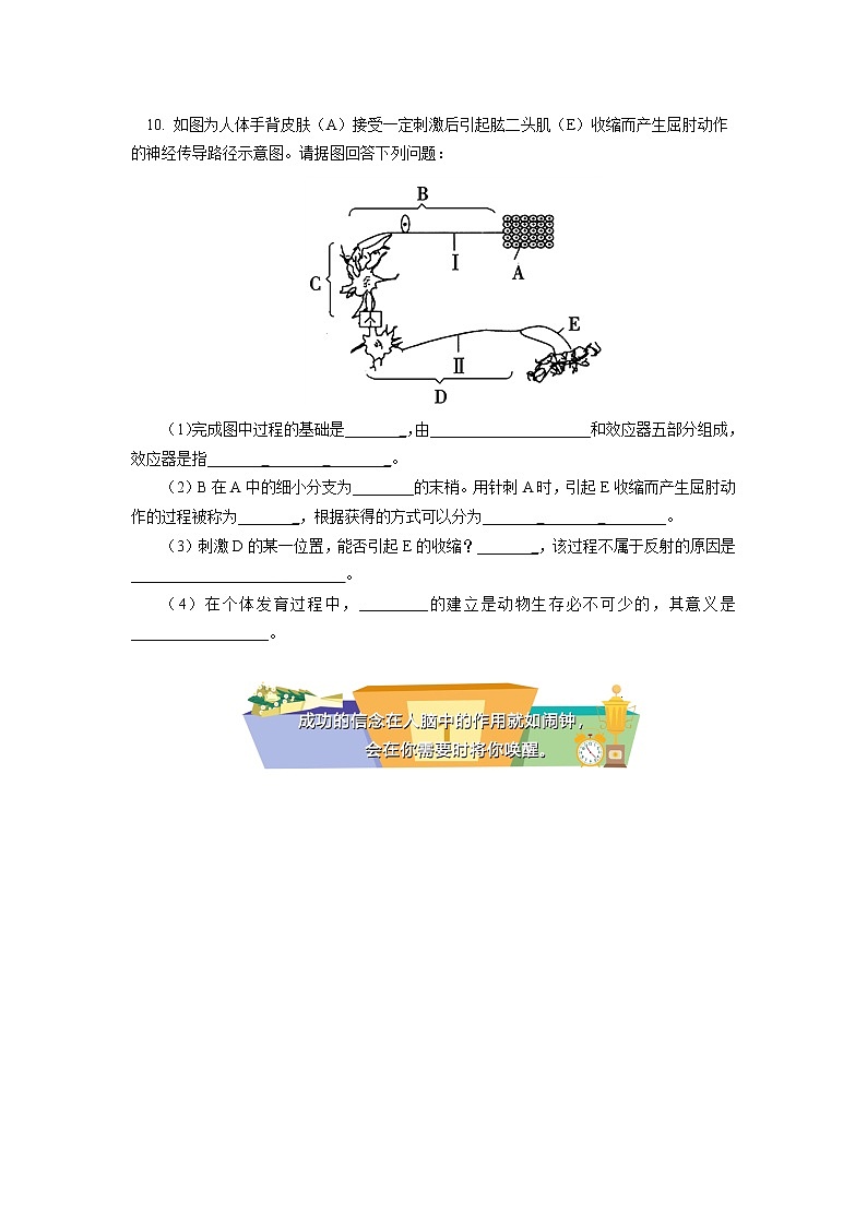 选择性必修1 第2章 神经调节 第一、二节同步练习03