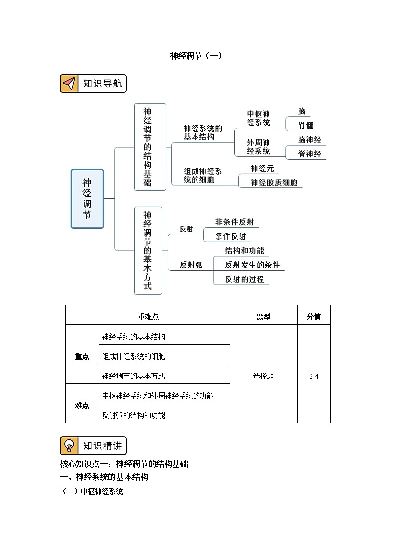 选择性必修1 第2章 神经调节 第一、二节 学案01