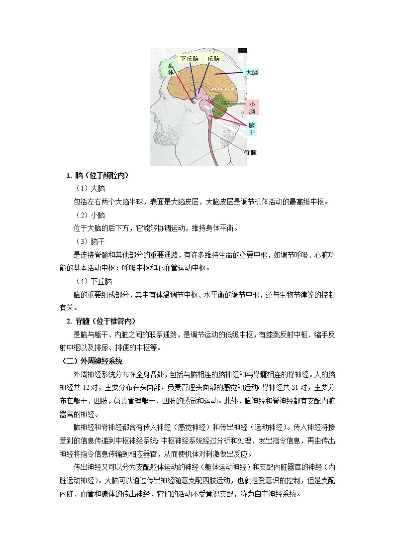 选择性必修1 第2章 神经调节 第一、二节 学案02