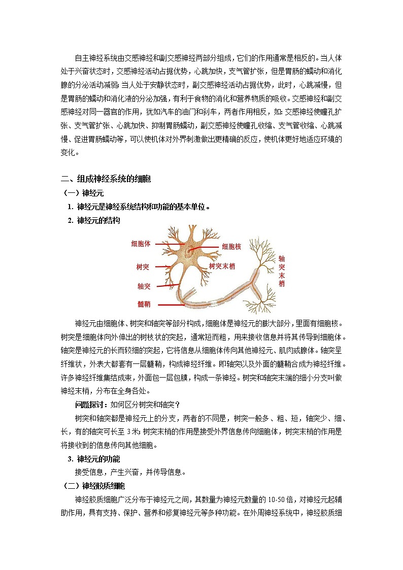 选择性必修1 第2章 神经调节 第一、二节 学案03
