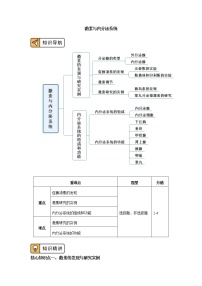 高中生物人教版 (2019)选择性必修1第3节 体液调节与神经调节的关系优质学案设计