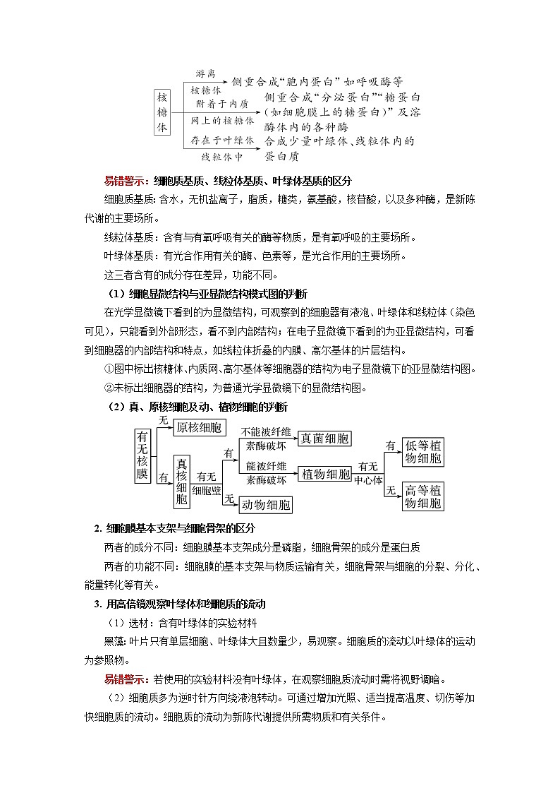 2020-2021学年高一上学期生物人教版（2019）必修一第3章 细胞的结构 第2节  学案03