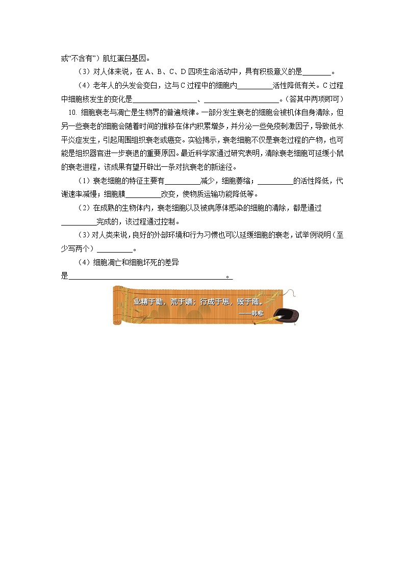 2020-2021学年高一上学期生物人教版（2019）必修一 第6章 细胞的生命历程 第2、3节同步练习03