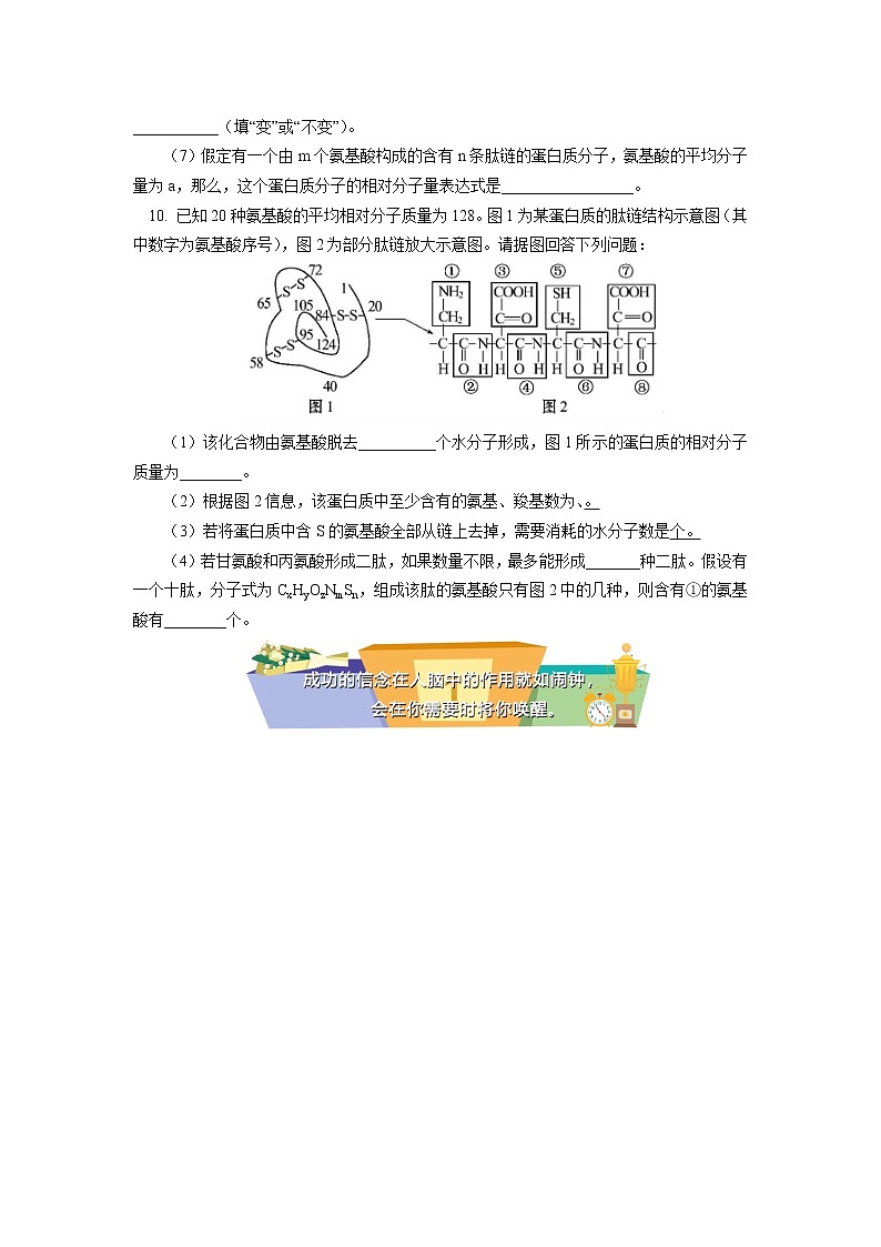 2020-2021学年高一上学期生物人教版（2019）必修一 第2章 组成细胞的分子 第4节同步练习03