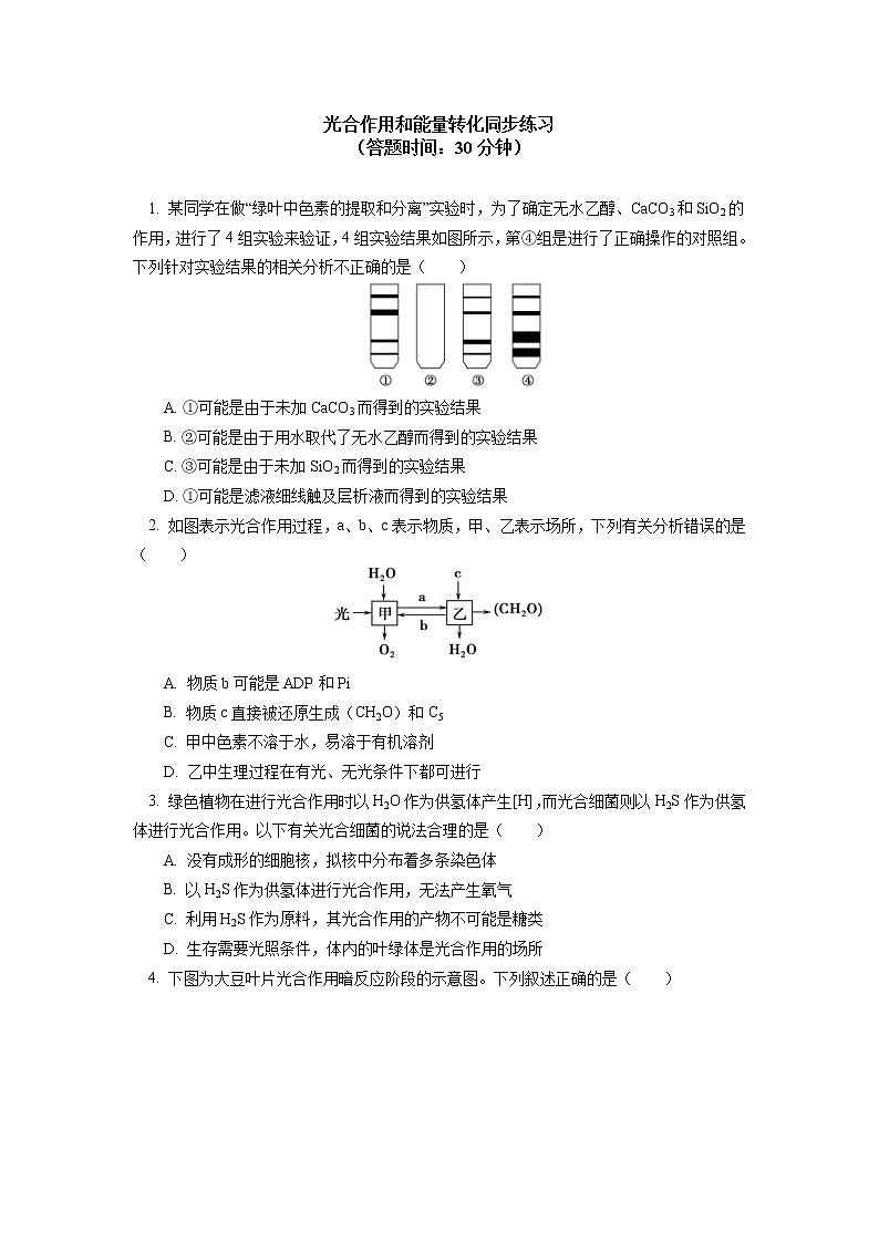 2020-2021学年高一上学期生物人教版（2019）必修一 第5章 细胞的能量供应和利用 第4节同步练习01
