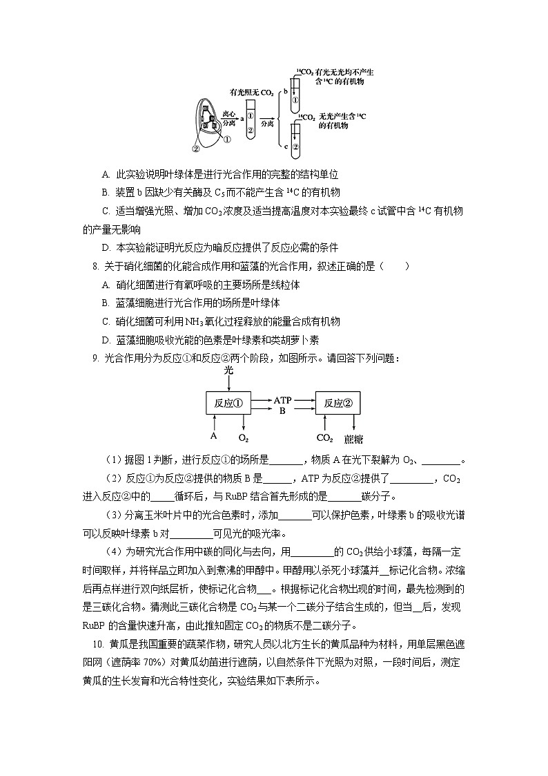 2020-2021学年高一上学期生物人教版（2019）必修一 第5章 细胞的能量供应和利用 第4节同步练习03