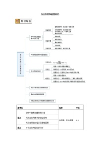 高中生物人教版 (2019)必修1《分子与细胞》第4节 蛋白质是生命活动的主要承担者优质学案设计