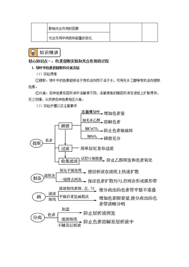 2020-2021学年高一上学期生物人教版（2019）必修一 第5章 细胞的能量供应和利用 第4节 学案02