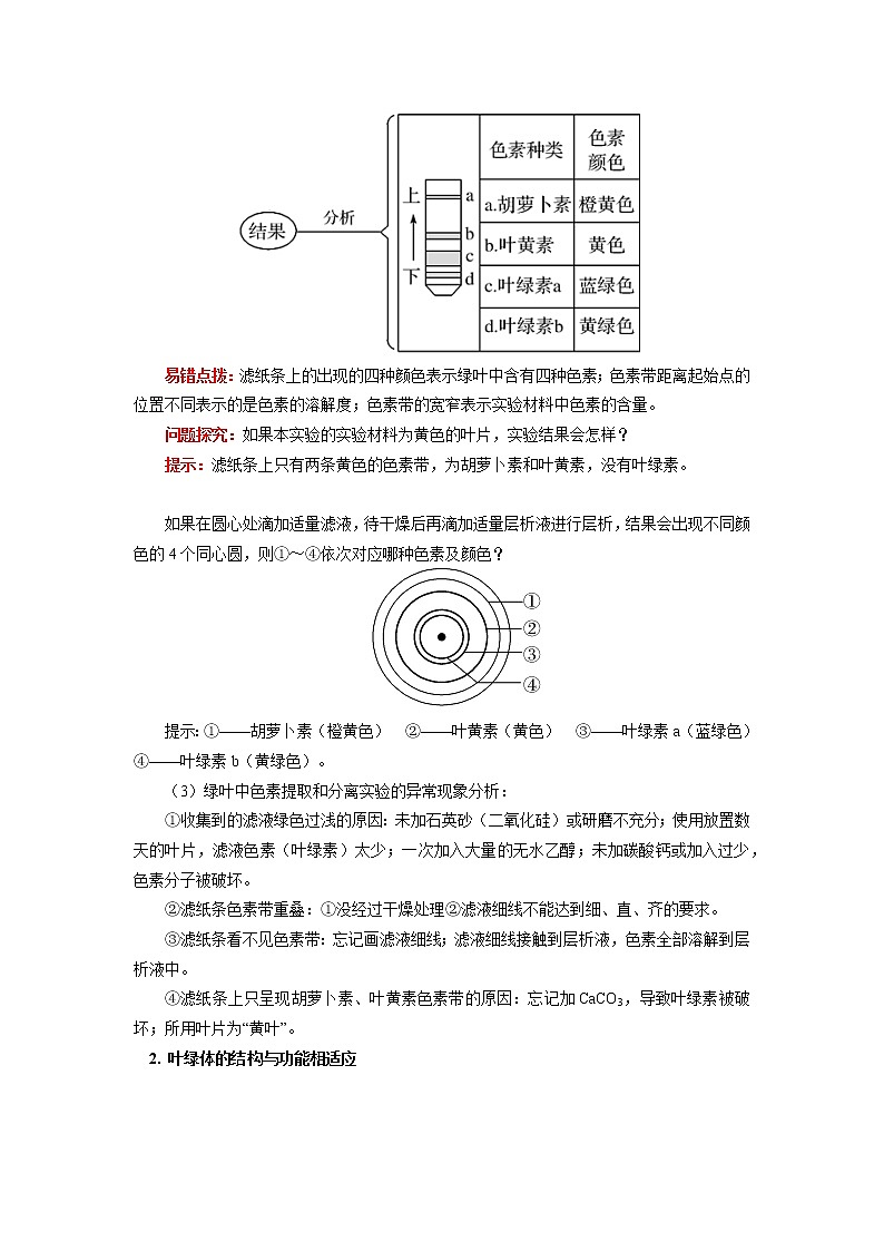 2020-2021学年高一上学期生物人教版（2019）必修一 第5章 细胞的能量供应和利用 第4节 学案03