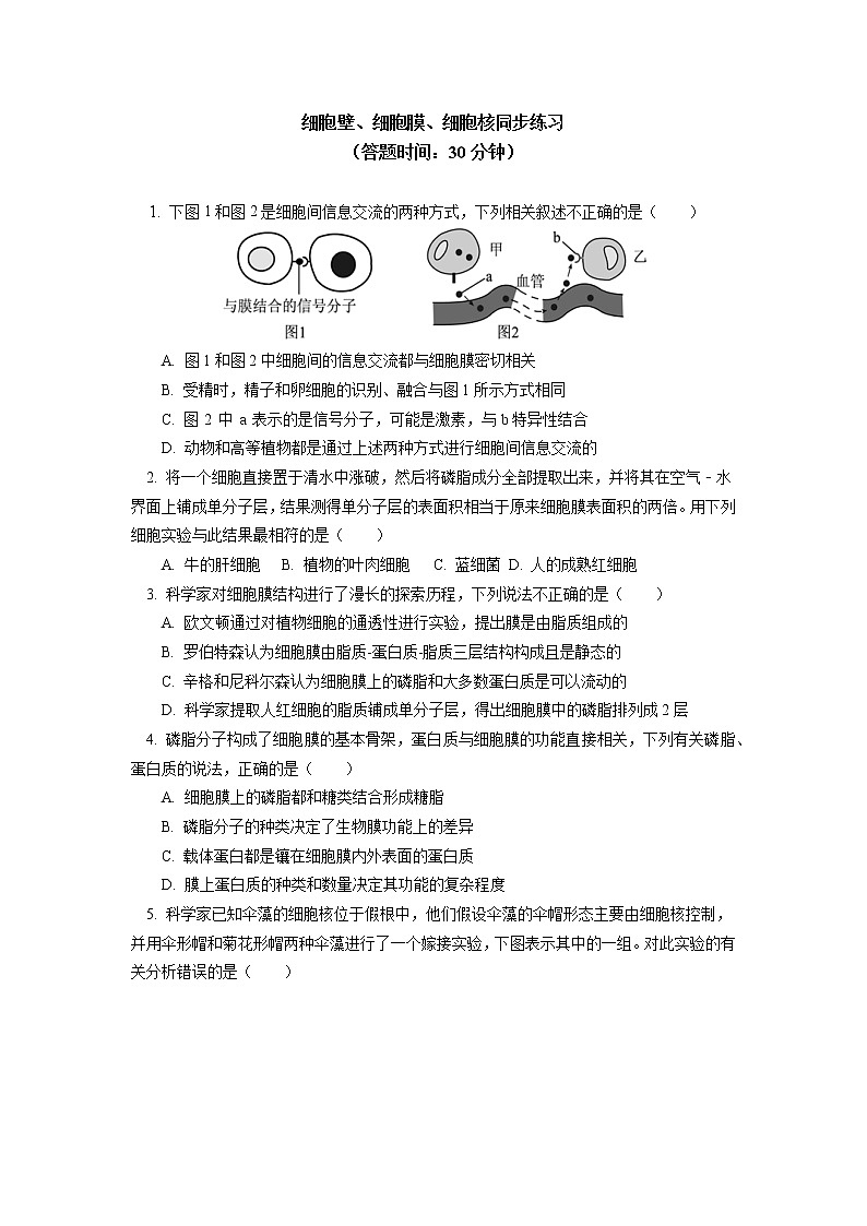 2020-2021学年高一上学期生物人教版（2019）必修一 第3章 细胞的结构 第1、3节同步练习第1页