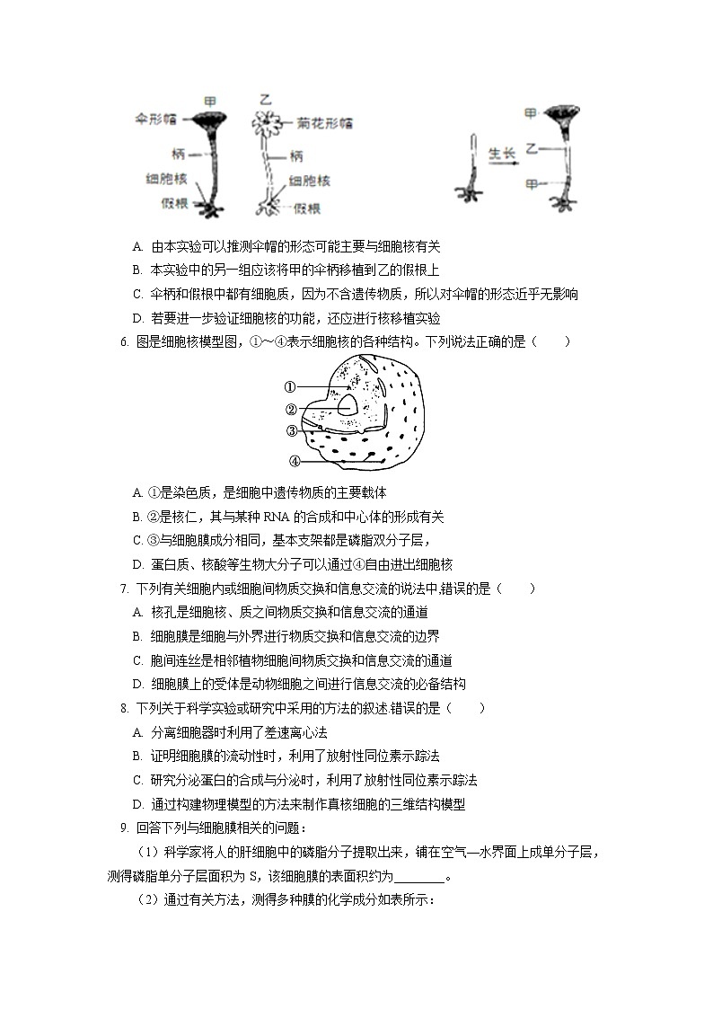 2020-2021学年高一上学期生物人教版（2019）必修一 第3章 细胞的结构 第1、3节同步练习第2页