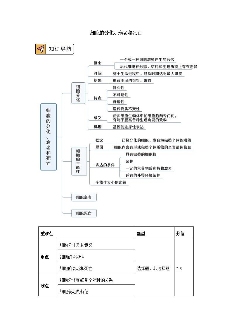 2020-2021学年高一上学期生物人教版（2019）必修一 第6章 细胞的生命历程 第2、3节 学案01