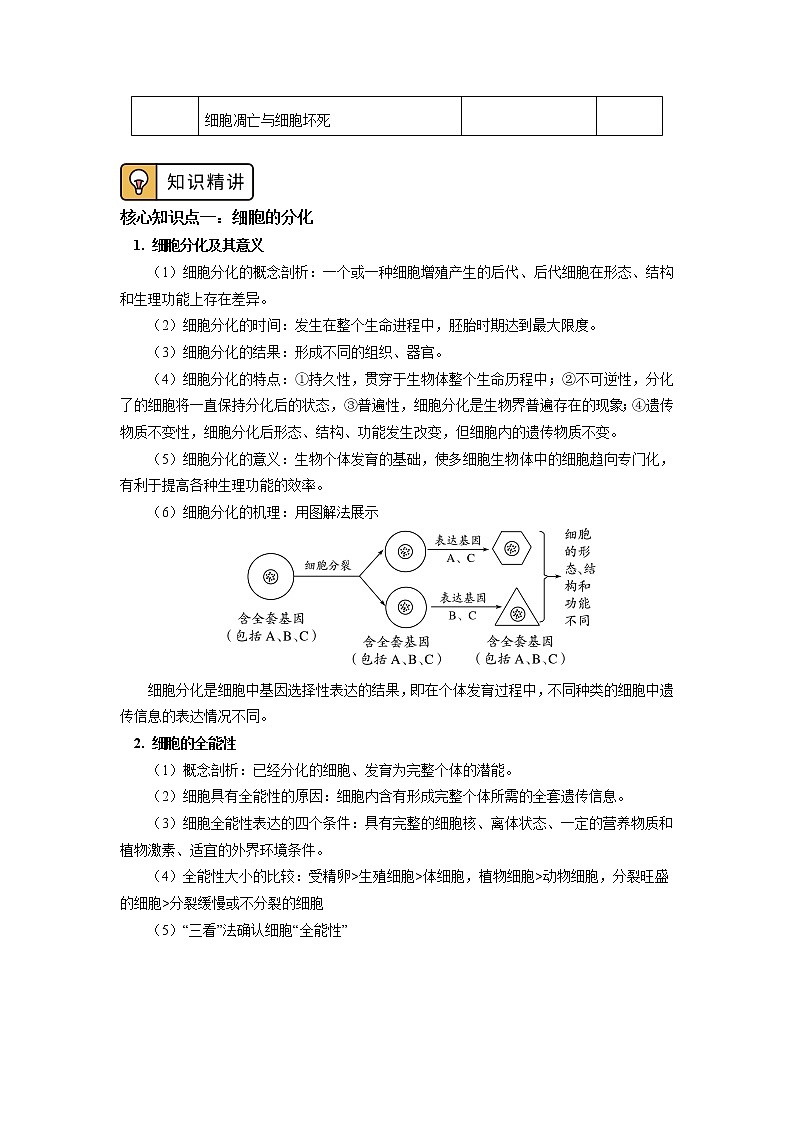 2020-2021学年高一上学期生物人教版（2019）必修一 第6章 细胞的生命历程 第2、3节 学案02